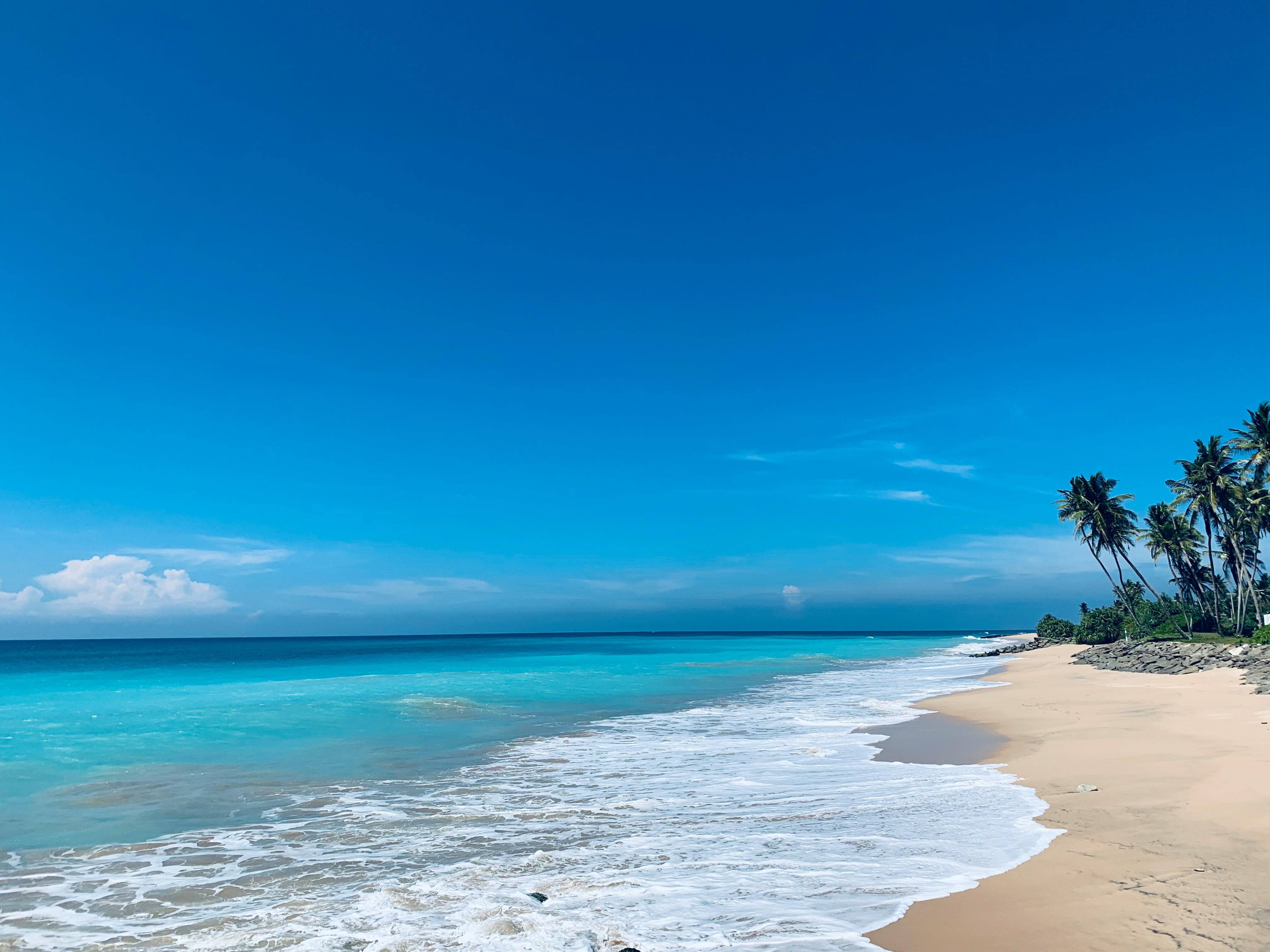 A palm-fringed turquoise beach on the Sri Lankan coast